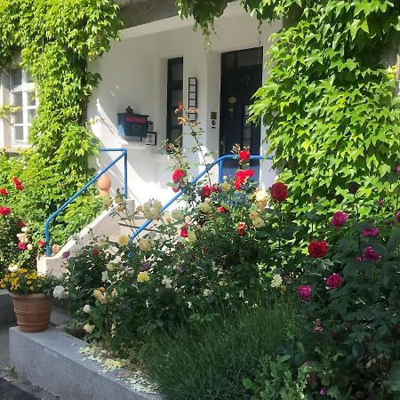 Kunsthaus Mit Gartensauna Dierdorf Екстериор снимка